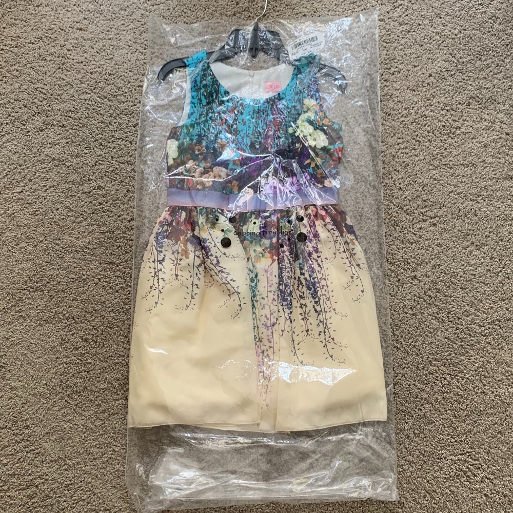 Chasing Fireflies NWT/in Bag Zoe Bouquet dress